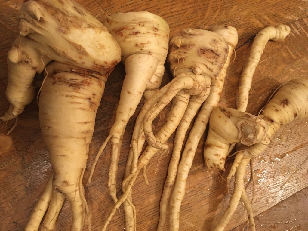 Wonky parsnips and the winter solstice